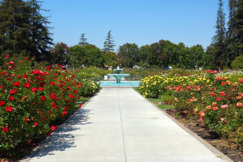 Municipal Rose Garden, Santa Clara
