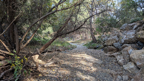 Calabazas Creek, Santa Clara