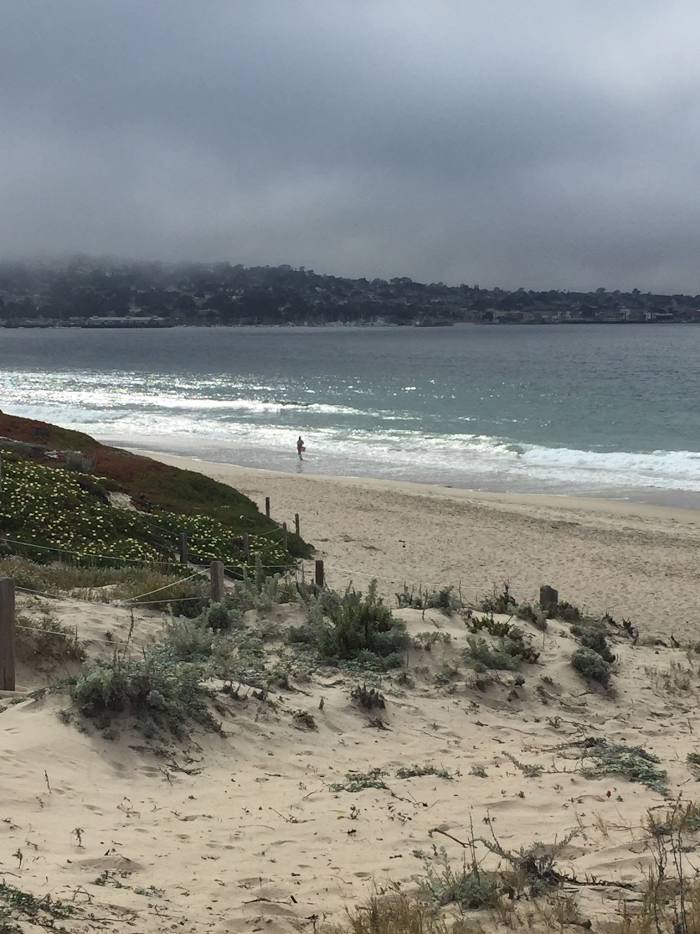Monterey State Beach, 
