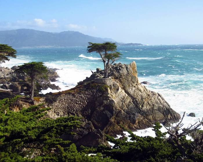 Lone Cypress, Monterey