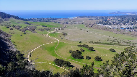 Palo Corona Regional Park, Monterey