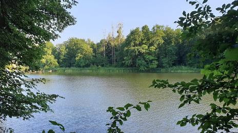 Jezioro Panieńskie, Олава