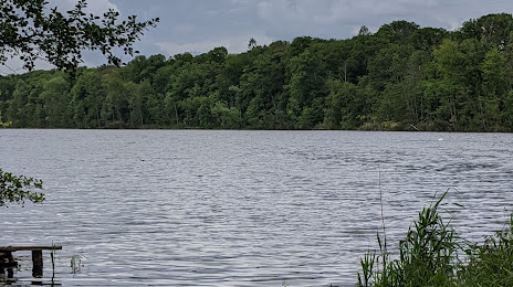 Groß Behnitzer See, 