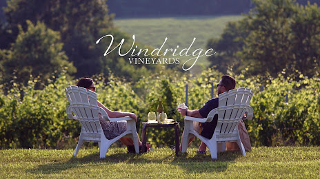 Windridge Vineyards, 