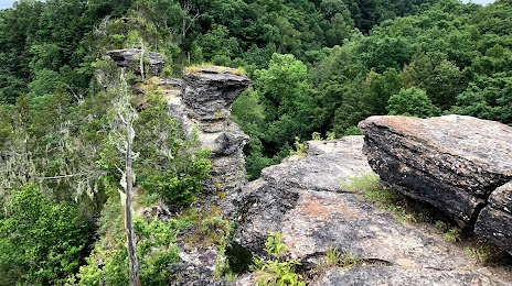 Window Cliffs State Natural Area, Cookeville