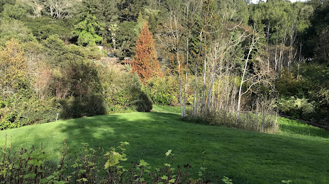 Regional Parks Botanic Garden - Now Open, Piedmont
