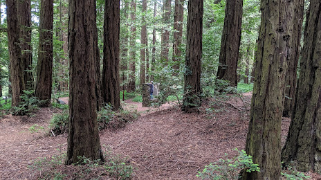Site of Blossom Rock Navigation Trees, Piedmont