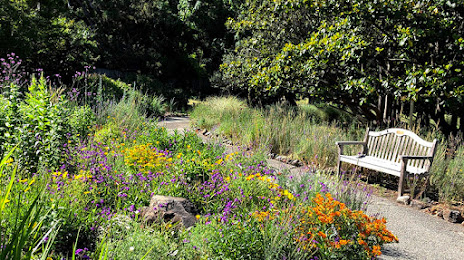 Marin Art and Garden Center, San Rafael