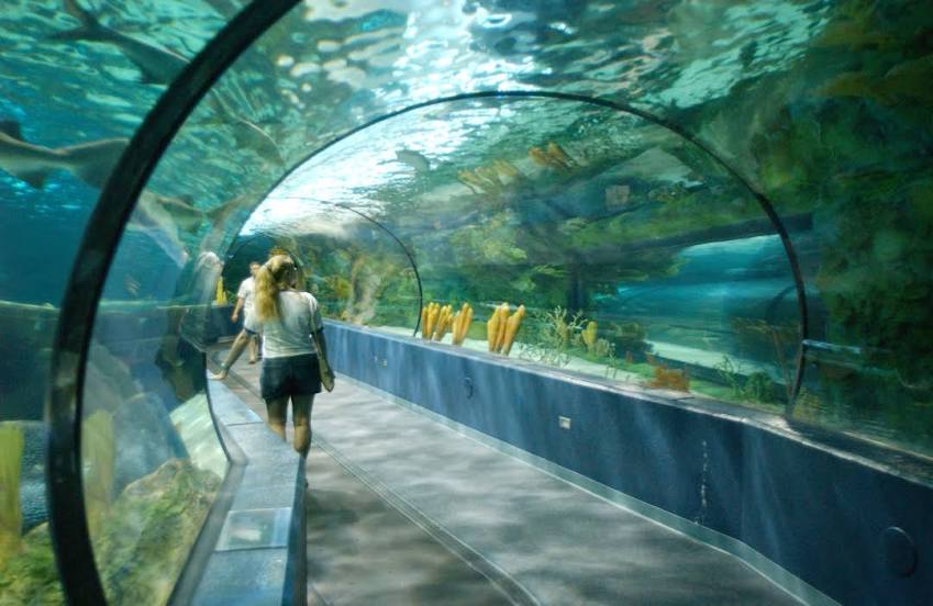 Ripley's Aquarium of Myrtle Beach, Миртл Бич