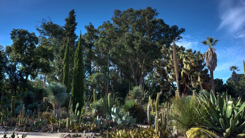 Arizona Garden, Palo Alto