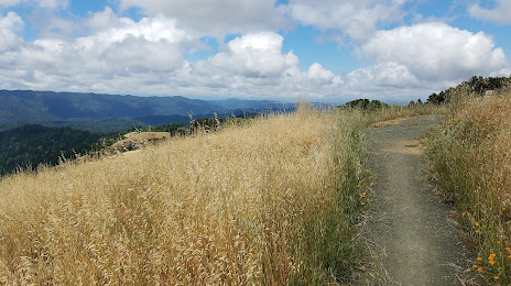 Saratoga Gap Trail, Palo Alto