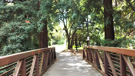 El Palo Alto Park, Palo Alto