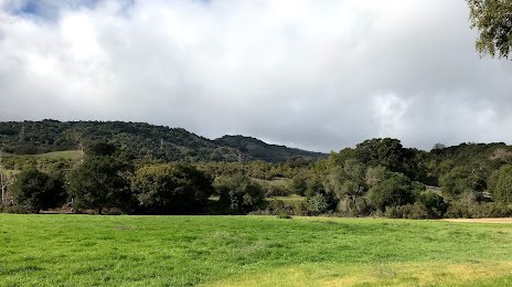 Foothills Preserve, Palo Alto