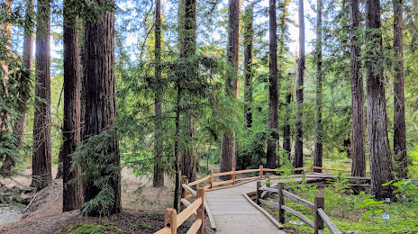 Redwood Grove Nature Preserve, Los Altos