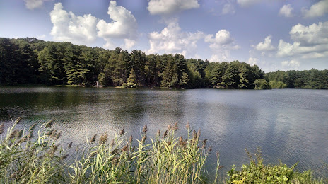 Maltby Lakes, New Haven