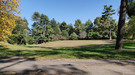 Edgerton Park Conservancy, New Haven