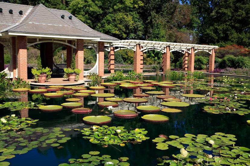 Huntsville Botanical Garden, 