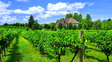 Valentino Vineyards & Winery, 