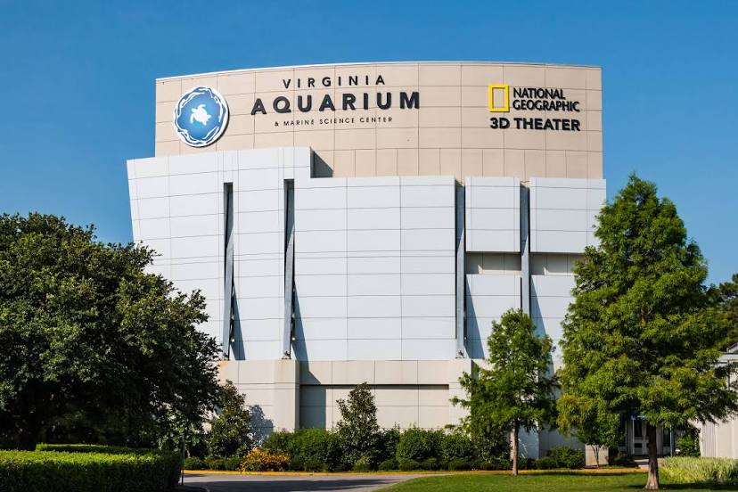 Virginia Aquarium & Marine Science Center, 