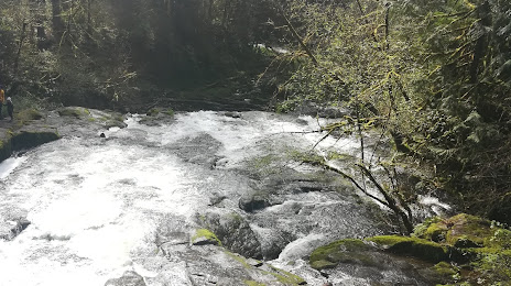 Lacamas Creek, Ванкувер