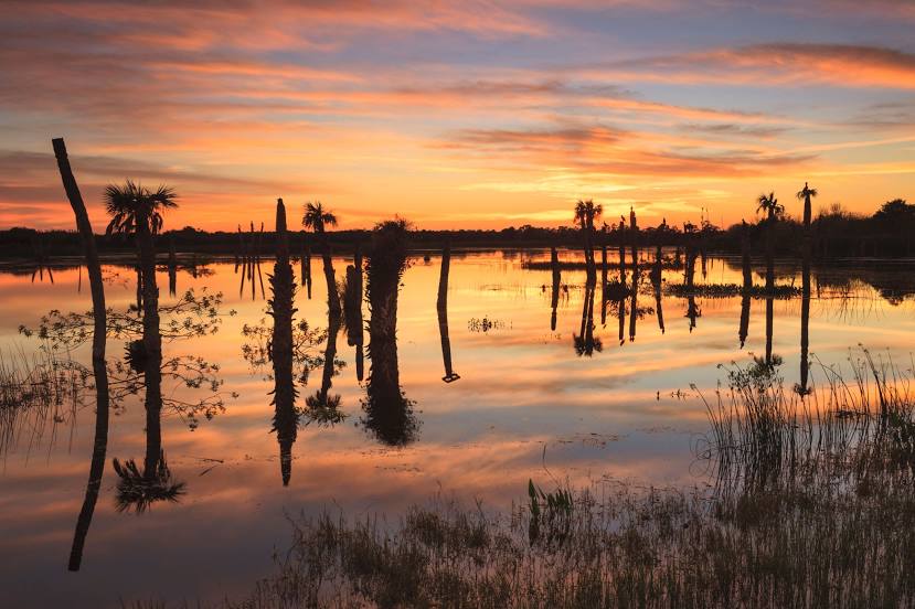 Ritch Grissom Memorial Wetlands, Melbourne