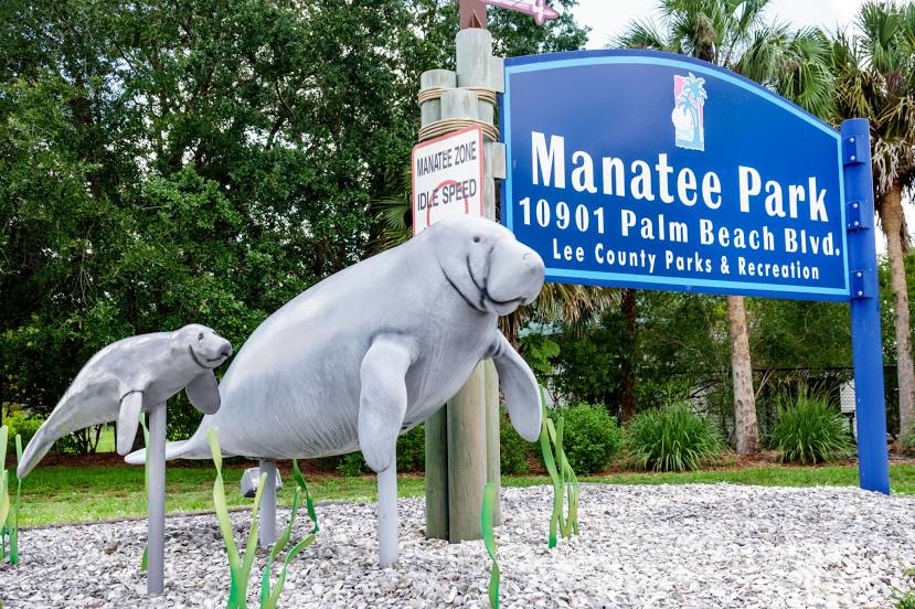 Manatee Park, 
