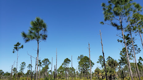 Yellow Fever Creek Preserve, North Fort Myers