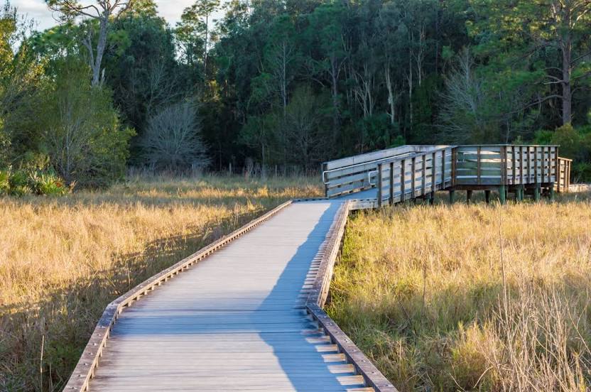 Prairie Pines Preserve, North Fort Myers