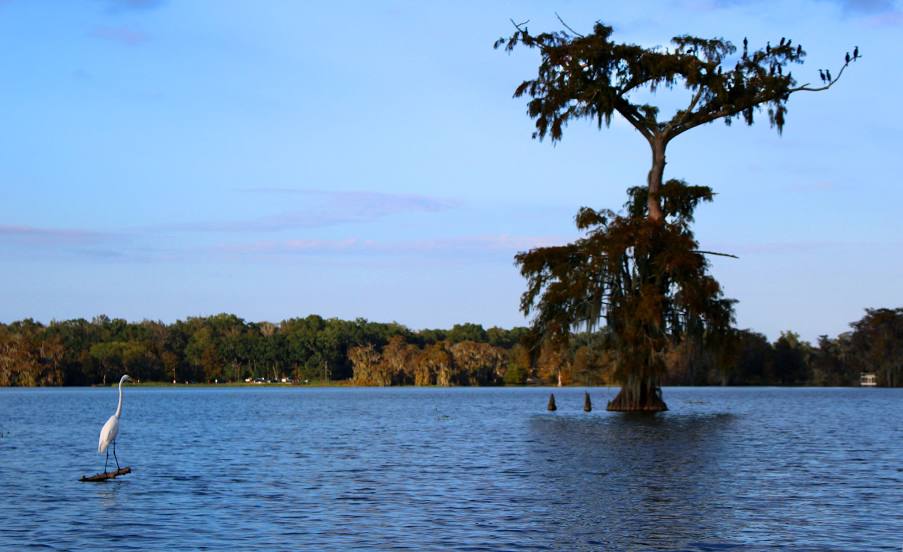 Lake Martin, Louisiana, 