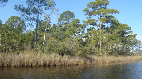 Escribano Point Wildlife Management Area, Pensacola