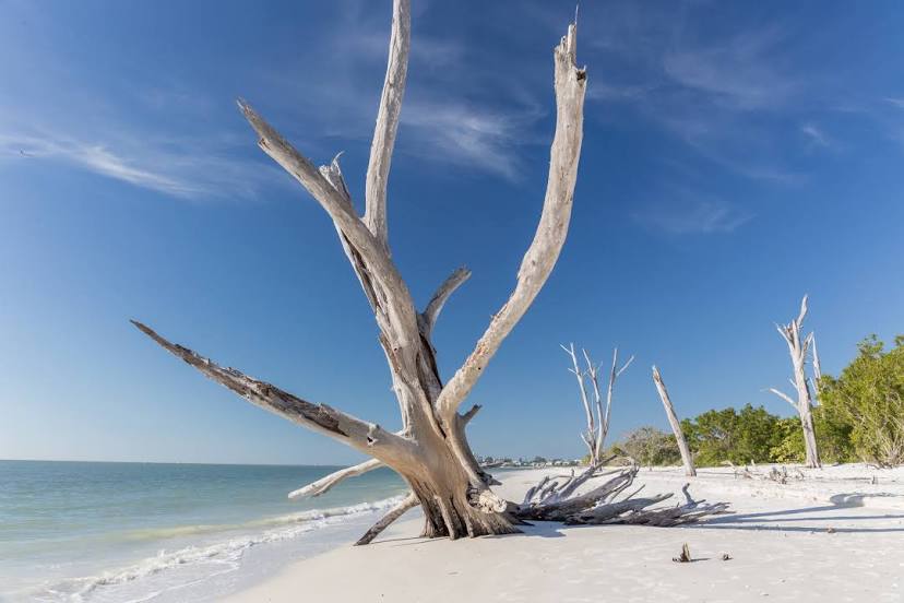 Lovers Key State Park, 