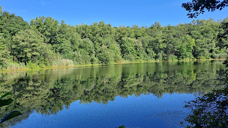 Cranberry Lake Preserve, 