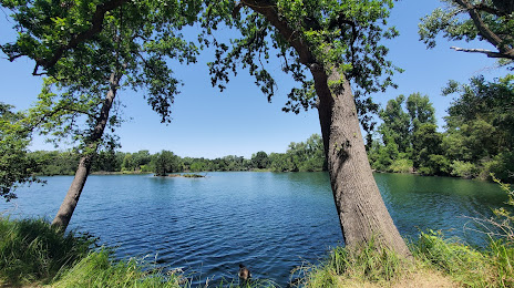 Lodi Lake, Lodi