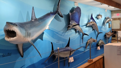 Destin History & Fishing Museum, 