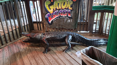 Gator Beach - The World's Greatest Alligator Park, 