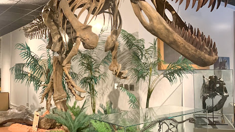 BYU Museum of Paleontology, Орем