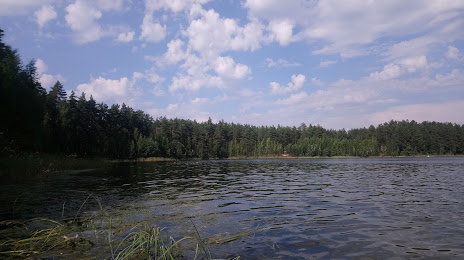 озеро Зеленое, Луга