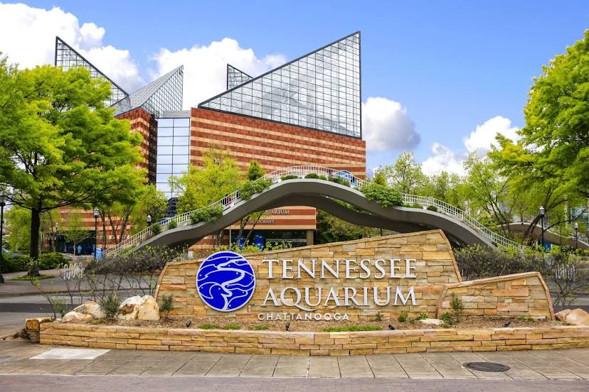 Tennessee Aquarium, 