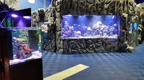 East Idaho Aquarium, Айдахо Фолс