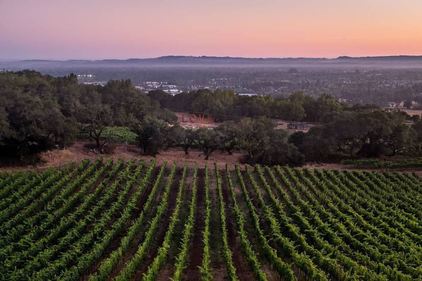 Paradise Ridge Winery, Santa Rosa