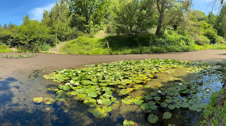 Sonoma Botanical Garden, 