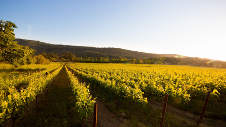 Annadel Estate Winery, Santa Rosa