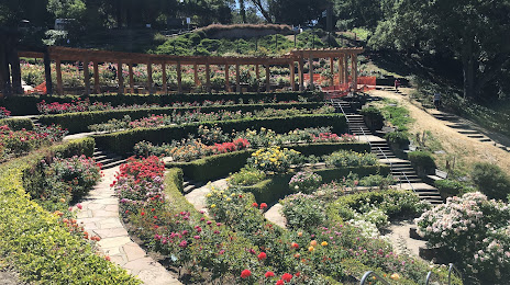 Berkeley Rose Garden, 
