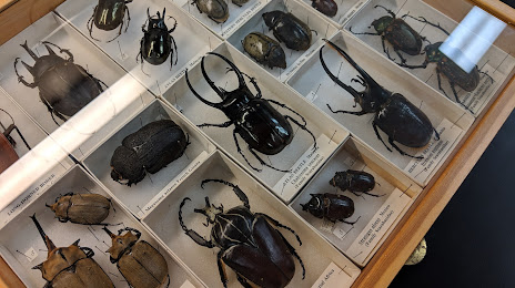 Essig Museum of Entomology Research, 