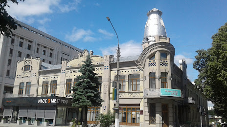 Vasyl Symonenko Museum, 