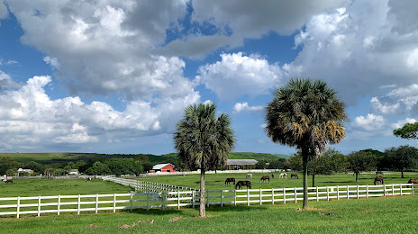 Tradewinds Park & Stables, 
