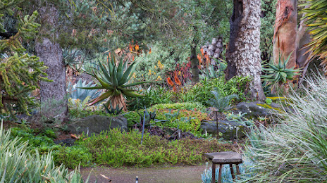 The Ruth Bancroft Garden & Nursery, Walnut Creek