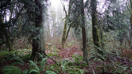 North Creek Forest, 