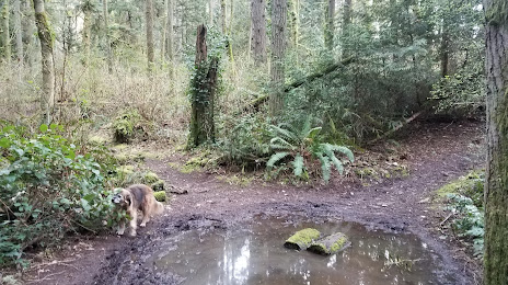 Gold Creek County Park, Bothell