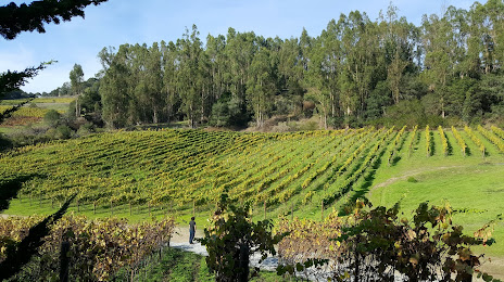 Alfaro Family Vineyard-Winery, Watsonville
